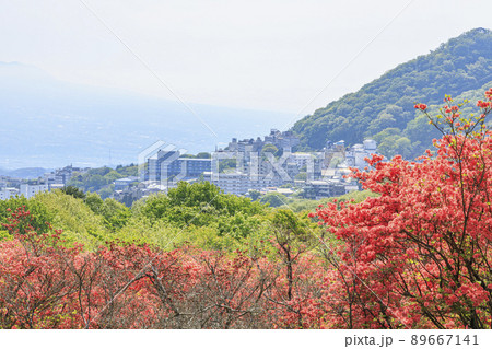 伊香保温泉 長峰公園 山つつじ 伊香保温泉 長峰公園 山つつじ 89667141
