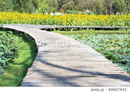 タイ王国バンコクのワチラベンチャタット公園 89667942