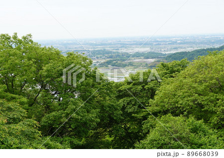 若葉が繫る初夏の表筑波スカイライン展望台より望む　新緑の風景 89668039
