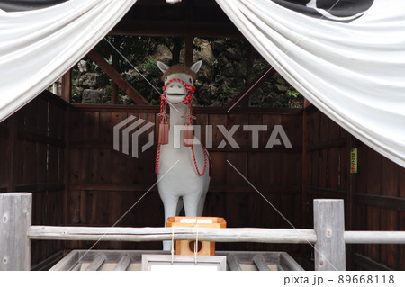 ご神馬_針綱神社_愛知県 89668118