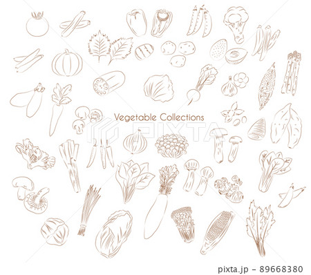 Various Vegetable drawing collections Various Vegetable drawing collections 89668380