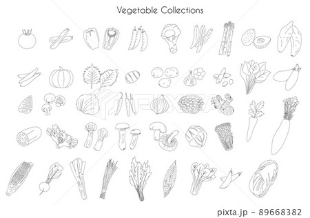 Various Vegetable drawing collections 89668382