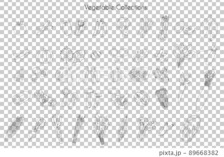 Various Vegetable drawing collections 89668382