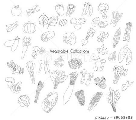 Various Vegetable drawing collections 89668383