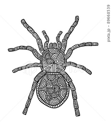 Tarantula Mandala Coloring Pages for Adults 89668539