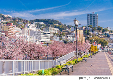 (静岡県)熱海親水公園の桜並木とホテル街 (静岡県)熱海親水公園の桜並木とホテル街 89669863