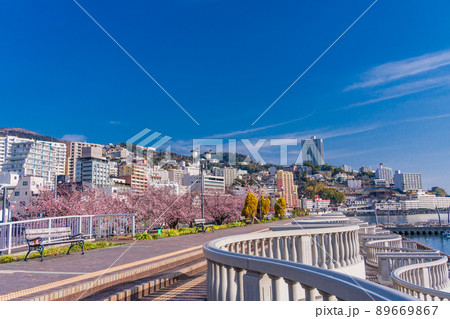 （静岡県）熱海親水公園の桜並木とホテル街 89669867