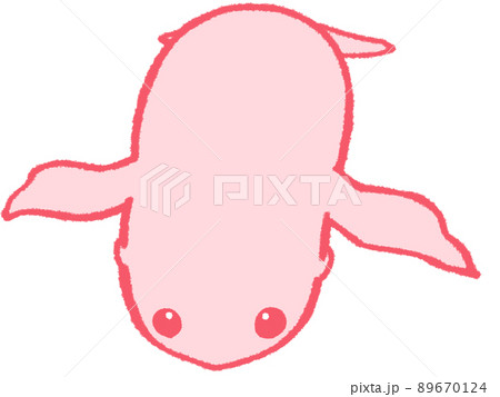 うつぶせで目だけこちらに向けるアシカ(赤色) うつぶせで目だけこちらに向けるアシカ(赤色) 89670124