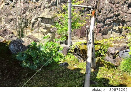 南濃散策・臥龍山行基寺・15（岐阜県海津市南濃町） 89671293