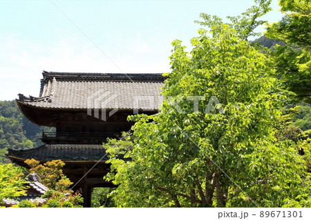 南濃散策・臥龍山行基寺・23(岐阜県海津市南濃町) 南濃散策・臥龍山行基寺・23(岐阜県海津市南濃町) 89671301