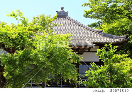 南濃散策・臥龍山行基寺・32(岐阜県海津市南濃町) 南濃散策・臥龍山行基寺・32(岐阜県海津市南濃町) 89671310