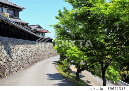 南濃散策・臥龍山行基寺・35(岐阜県海津市南濃町) 南濃散策・臥龍山行基寺・35(岐阜県海津市南濃町) 89671313