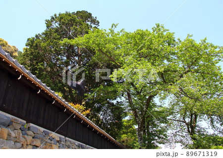 南濃散策・臥龍山行基寺・41(岐阜県海津市南濃町) 南濃散策・臥龍山行基寺・41(岐阜県海津市南濃町) 89671319