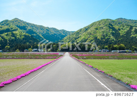 青空　山　芝桜　真っ直ぐに続く道路 89671627