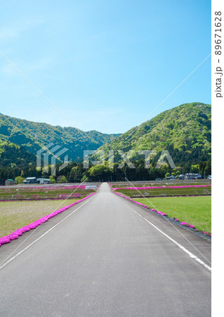 青空 山 芝桜 真っ直ぐに続く道路 青空 山 芝桜 真っ直ぐに続く道路 89671628