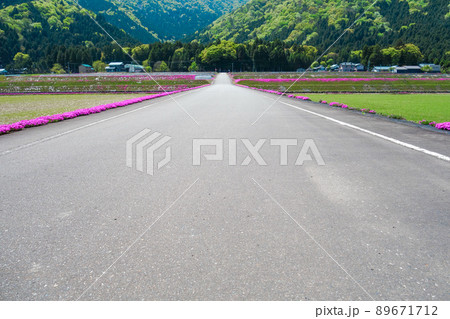 真っ直ぐに続く道【山、芝桜】 89671712