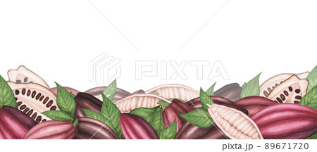 Banner with Ripe Cocoa pod with beans and leaves. Watercolor borders. Illustration for packaging,template, menu, poster 89671720