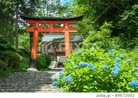 神社の参道を彩るアジサイの花「岡山県真庭市・木山神社」 神社の参道を彩るアジサイの花「岡山県真庭市・木山神社」 89672002