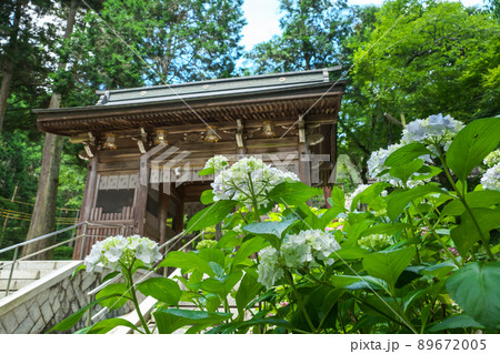 神社の参道を彩るアジサイの花「岡山県真庭市・木山神社」 89672005