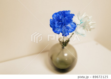 リビングの花瓶に飾った青と白のカーネーション リビングの花瓶に飾った青と白のカーネーション 89672125