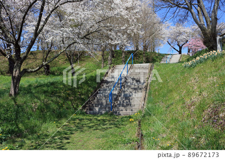 城山公園（岩手県紫波町）、桜まつり 89672173