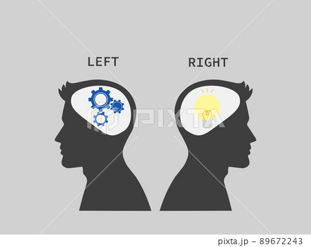 男性脳内シルエットと右脳と左脳の特徴イラスト 89672243