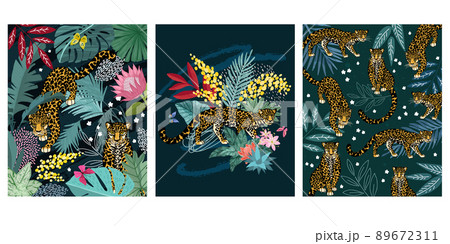 Set of three cards with tropical leaves and jaguar Set of three cards with tropical leaves and jaguar 89672311