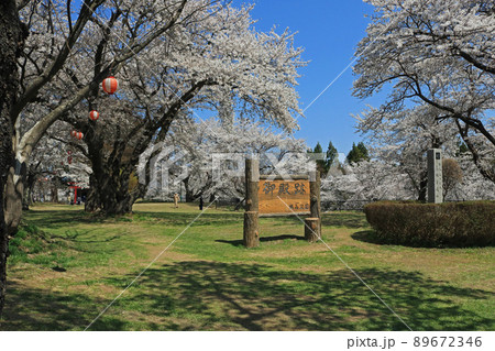 城山公園（岩手県紫波町）御殿跡、桜まつり 89672346