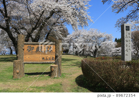 城山公園（岩手県紫波町）御殿跡、桜まつり 89672354