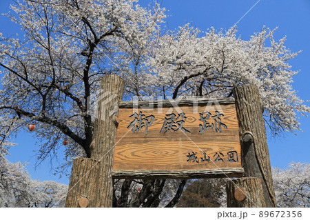 城山公園（岩手県紫波町）御殿跡、桜まつり 89672356