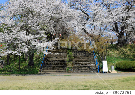 城山公園（岩手県紫波町）、桜まつり 89672761