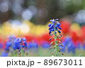 個性 89673011