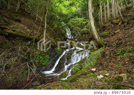 真奥大滝（京都府舞鶴市） 89673016