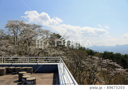 岩山展望台からの眺望 89673203