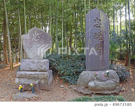 普光明寺(新座) 普光明寺(新座) 89673580