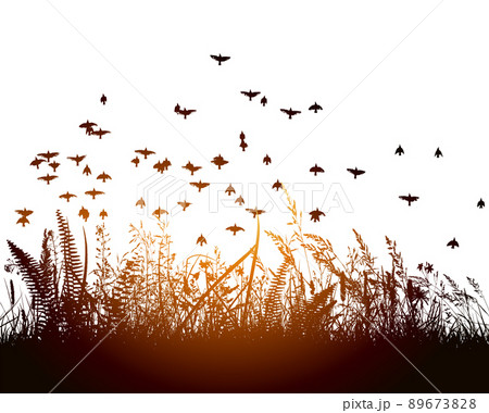 Grass at sunset with flying birds. Vector illustration Grass at sunset with flying birds. Vector illustration 89673828