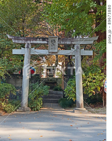 武野神社（新座） 89673880