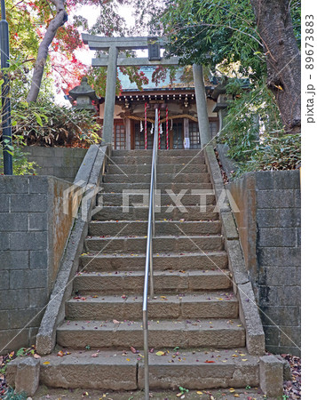 武野神社(新座) 武野神社(新座) 89673883