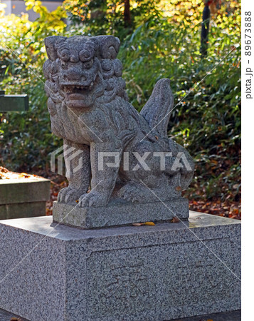 武野神社(新座) 武野神社(新座) 89673888