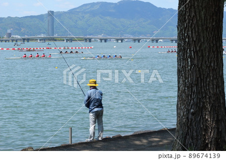 初夏の琵琶湖岸の風景 初夏の琵琶湖岸の風景 89674139