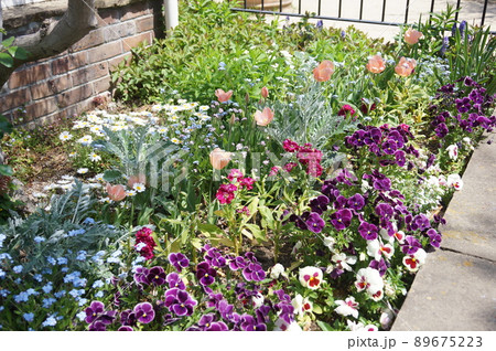 松阪市農業公園ベルファーム　1 89675223