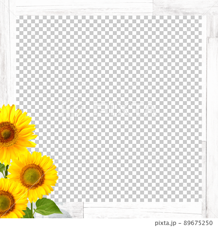 Sunflower and wooden frame 89675250