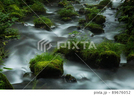木谷沢渓流の夏 89676052