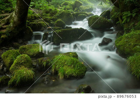 木谷沢渓流の夏 89676053