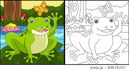 Frog Coloring Page Colored Illustration Frog Coloring Page Colored Illustration 89676267