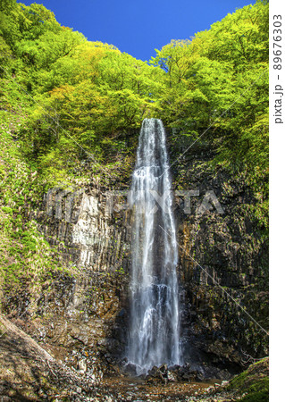 新緑の玉簾の滝 89676303
