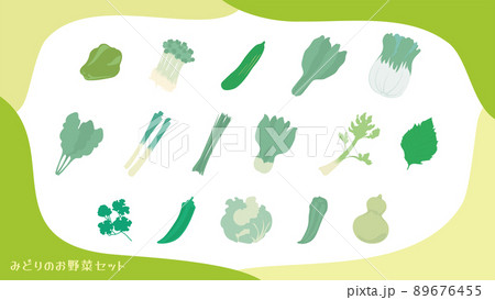 みどりのお野菜セット みどりのお野菜セット 89676455