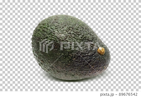 鱷梨插圖真實 89676542