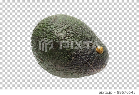 鱷梨插圖真實 89676543