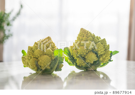 カリフラワーの変種、栄養たっぷりロマネスコのイメージカット写真|Romanesco broccoli カリフラワーの変種、栄養たっぷりロマネスコのイメージカット写真|Romanesco broccoli 89677914